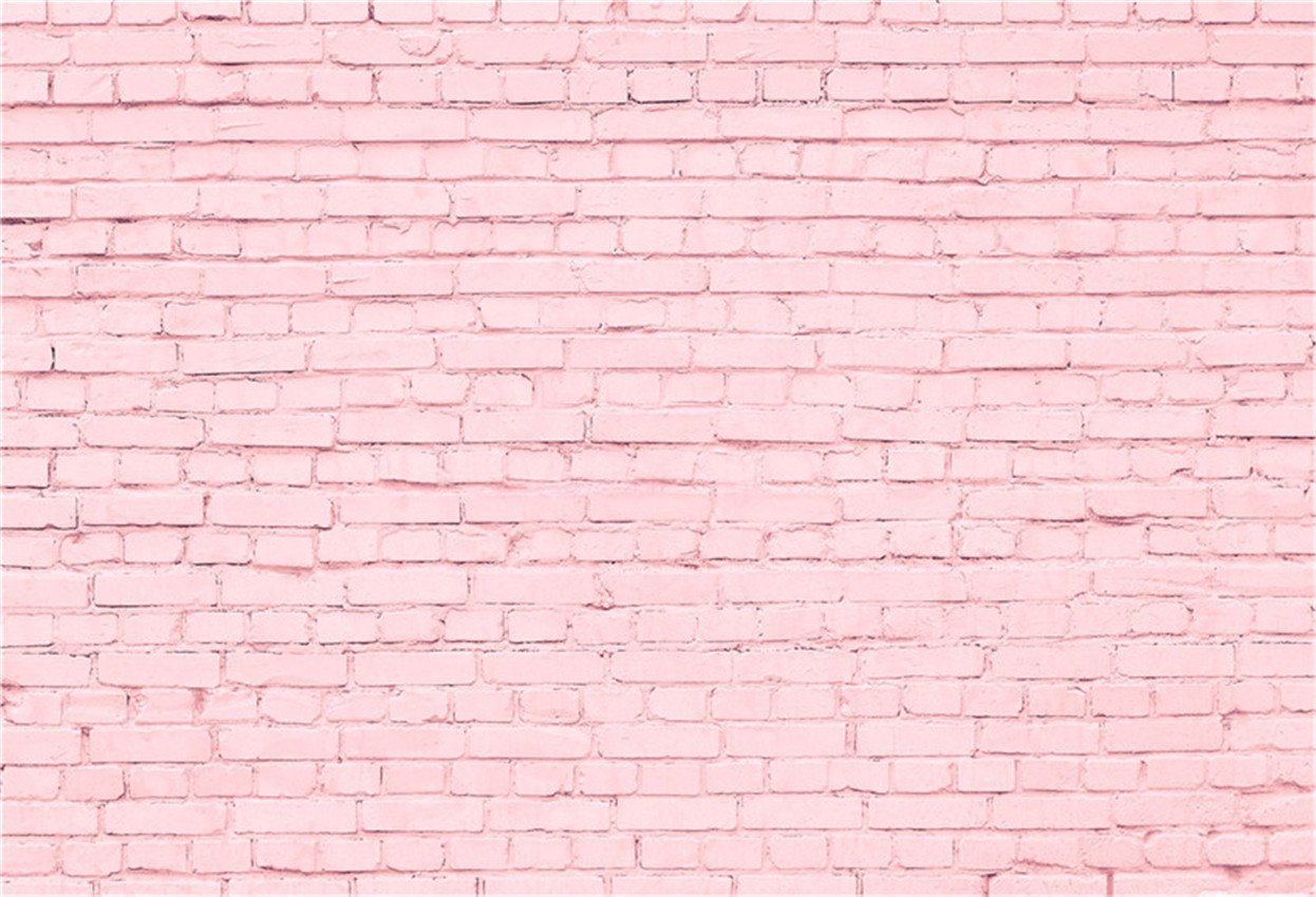 shop-toile-de-fond-de-mur-de-brique-rose-doux-pour-la-photographie-de-princesse-discount_1.jpg