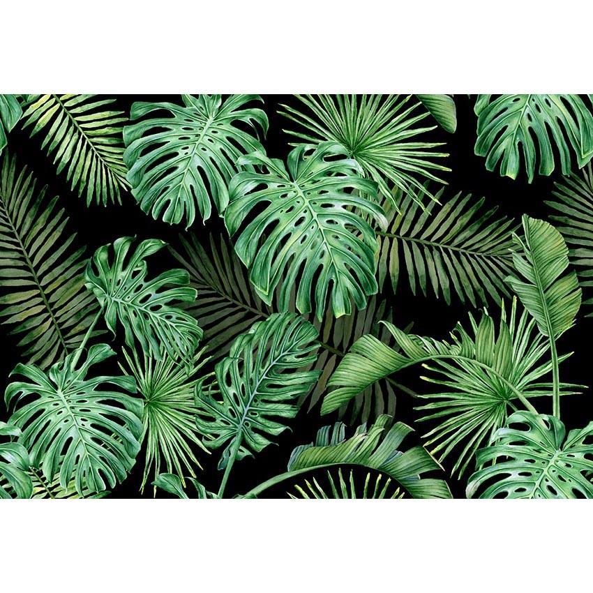 shop-our-huge-collection-of-toile-de-fond-de-feuilles-tropicales-vertes-fond-de-photographie-dete-online_0.jpg