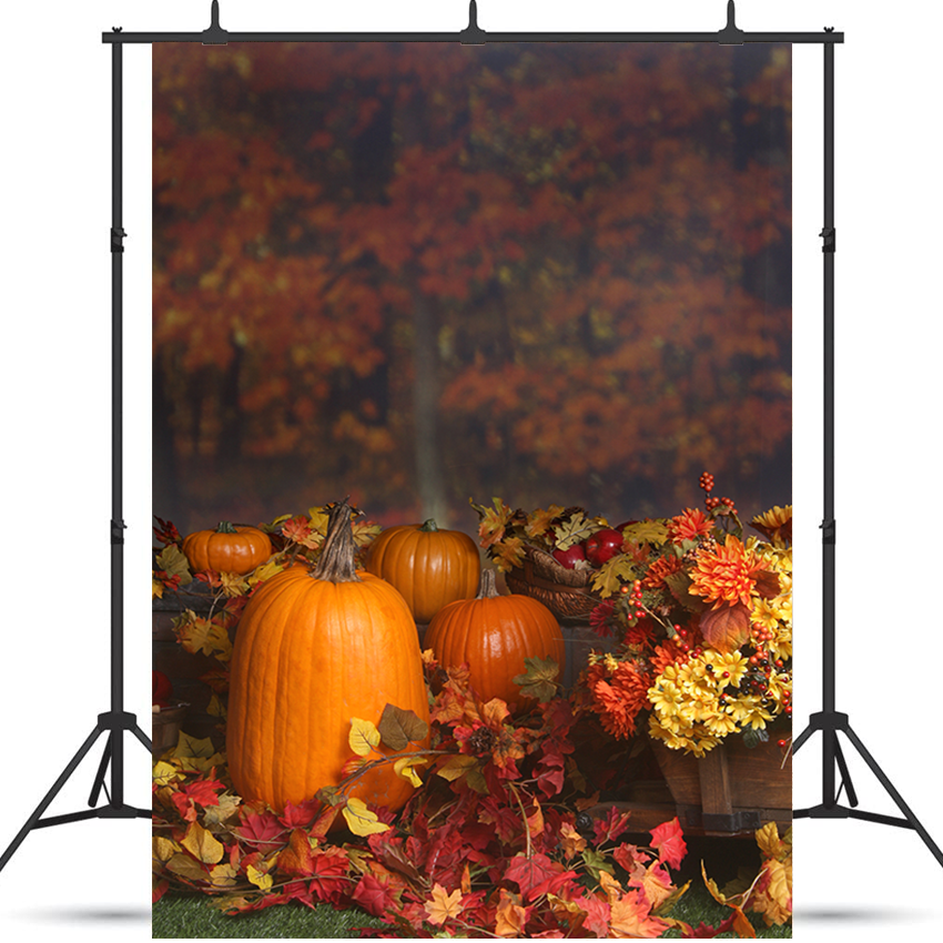 buy-your-favorite-teams-toile-de-fond-de-citrouilles-de-scene-dautomne-pour-la-photographie-sbh0194-online-sale_1.png