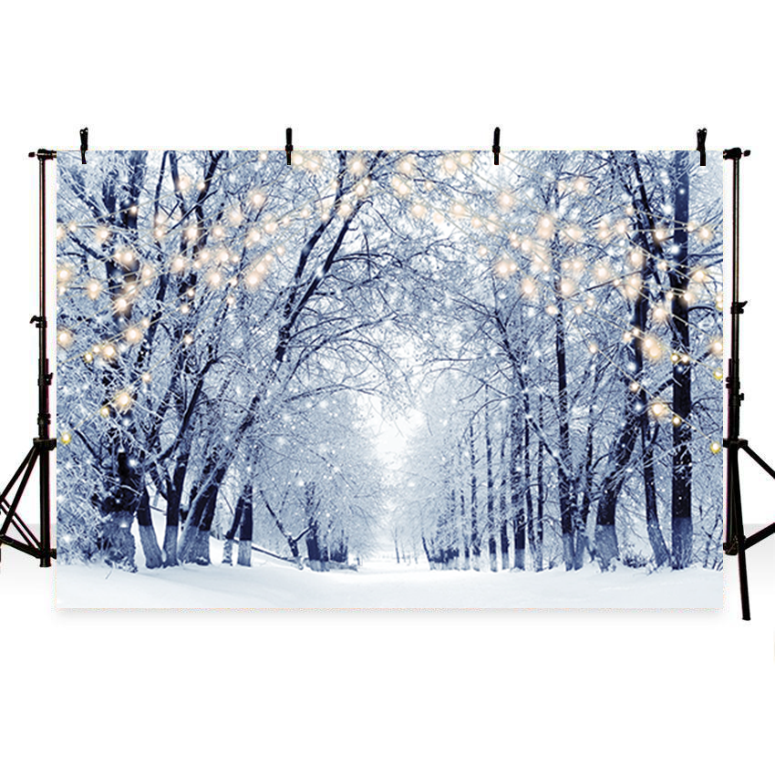 here-at-buy-toile-de-fond-de-paysage-dhiver-darbres-givres-pour-la-photographie-sbh0244-discount_1.png