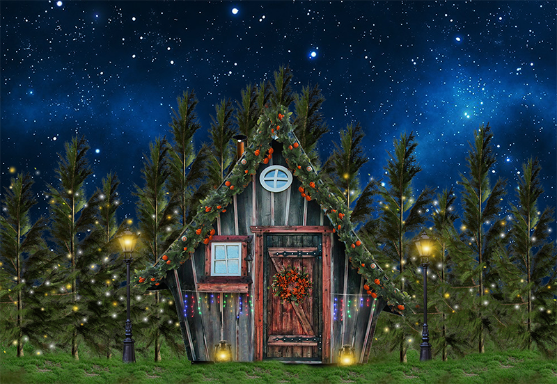 shop-for-pro-toile-de-fond-dhiver-de-village-joyeux-noel-pour-la-photographie-sbh0276-sale_0.png