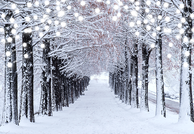 wholesale-toile-de-fond-de-foret-de-neige-dhiver-pour-la-photographie-sbh0304-online_0.png