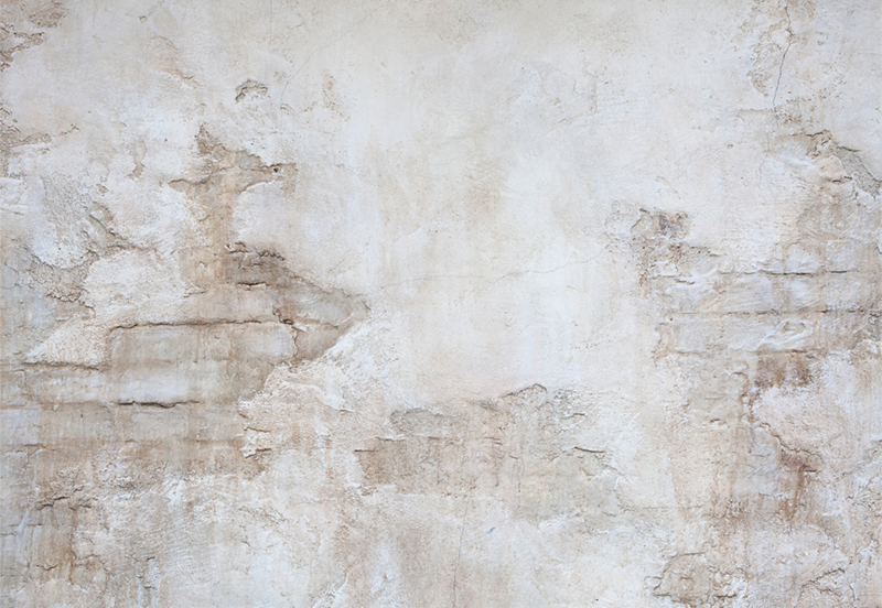 the-best-website-for-buying-wholesale-toile-de-fond-murale-en-pierre-antique-pour-la-photographie-sbh0447-online-sale_0.png